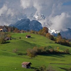 Plan Like a Pro in New Zealand: Travel Tips for a Stress-Free Vacation