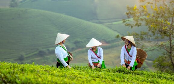 Smart Tips for Traveling Across Vietnam Without the Stress